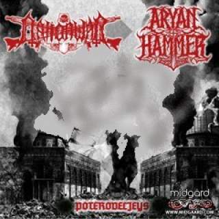 Nation War / Aryan Hammer